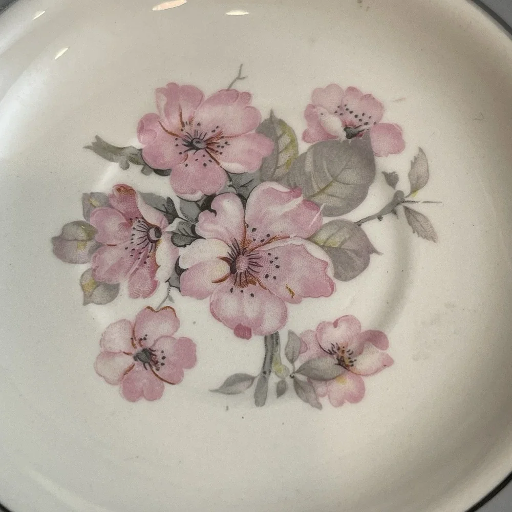 Vintage 1953 Homer Laughlin Cavalier Eggshell Cup & Saucer Set CV17 Gray Floral